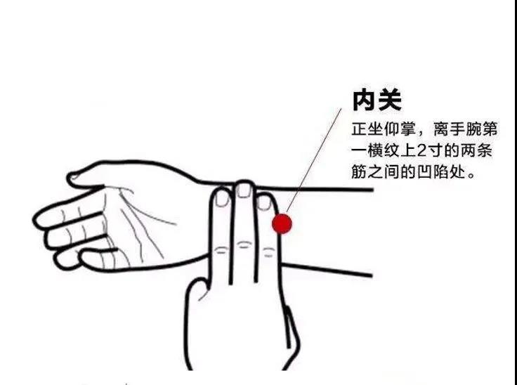 【上海明珠医院】情绪不稳，心血不足，膏方调理有疗效!