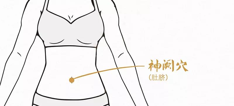 肥胖多“湿重” ，脾虚是根本，这三式“祛湿补脾法”就不错