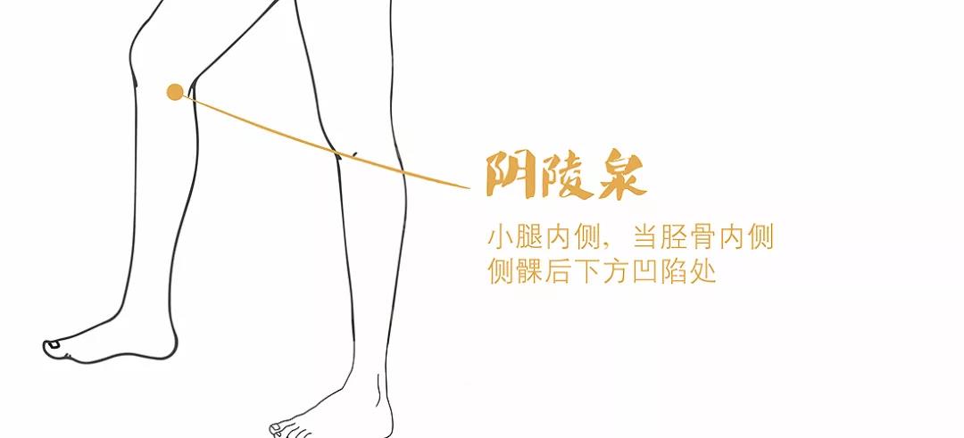 肥胖多“湿重” ，脾虚是根本，这三式“祛湿补脾法”就不错