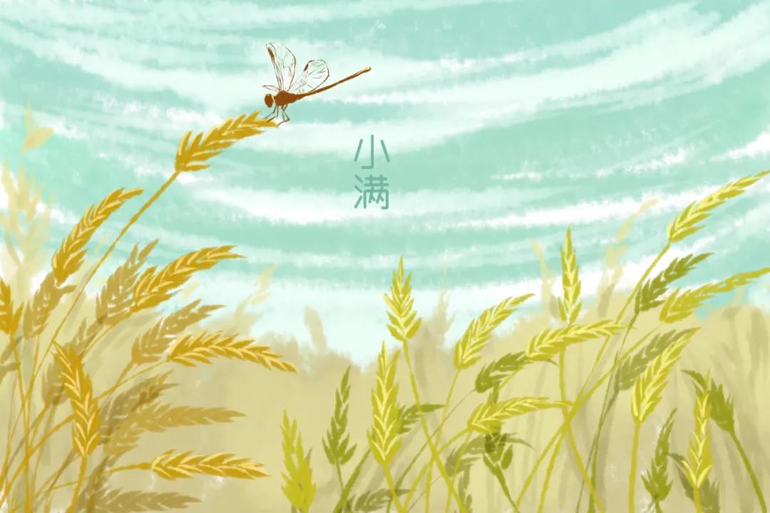 小满丨养心为重，为阳气开路，新旧寒邪一并铲除