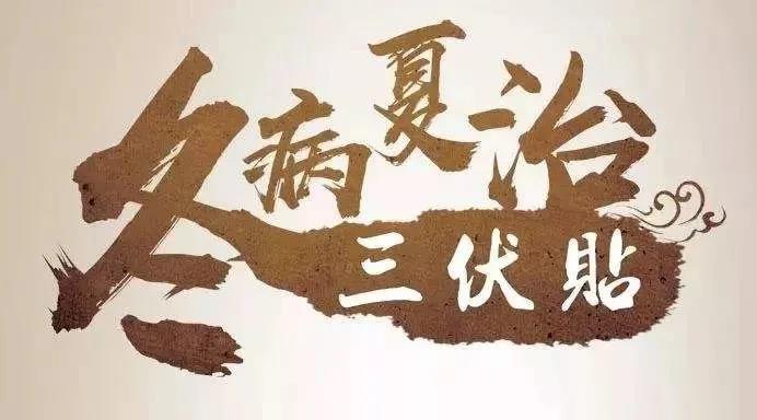 【明珠 ·特色】冬病夏治除痹痛，三伏敷贴疗效好！