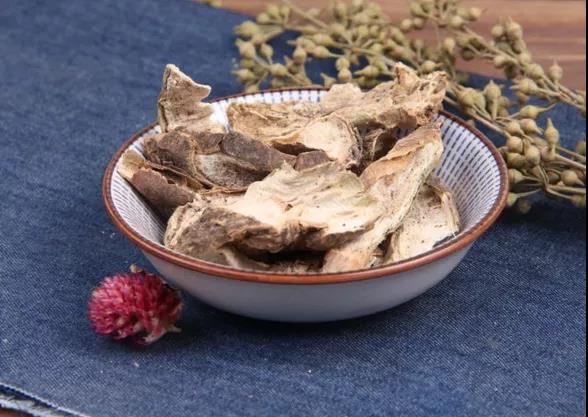 趣学中药丨每周学一味中药，仙人掌！