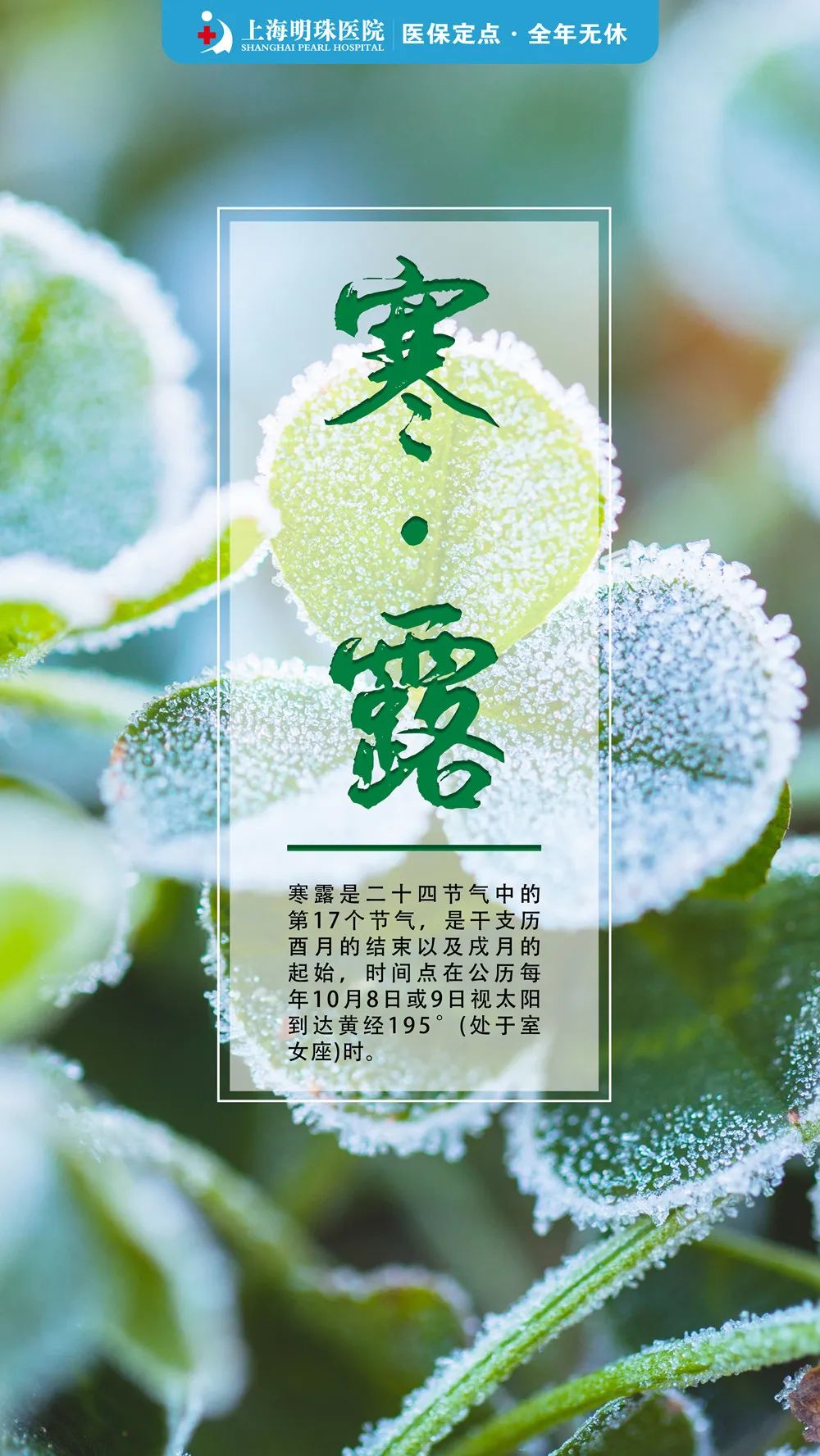 【寒露·节气】寒气生，膏方调治正当时，还有国庆假期后健康礼送给您！